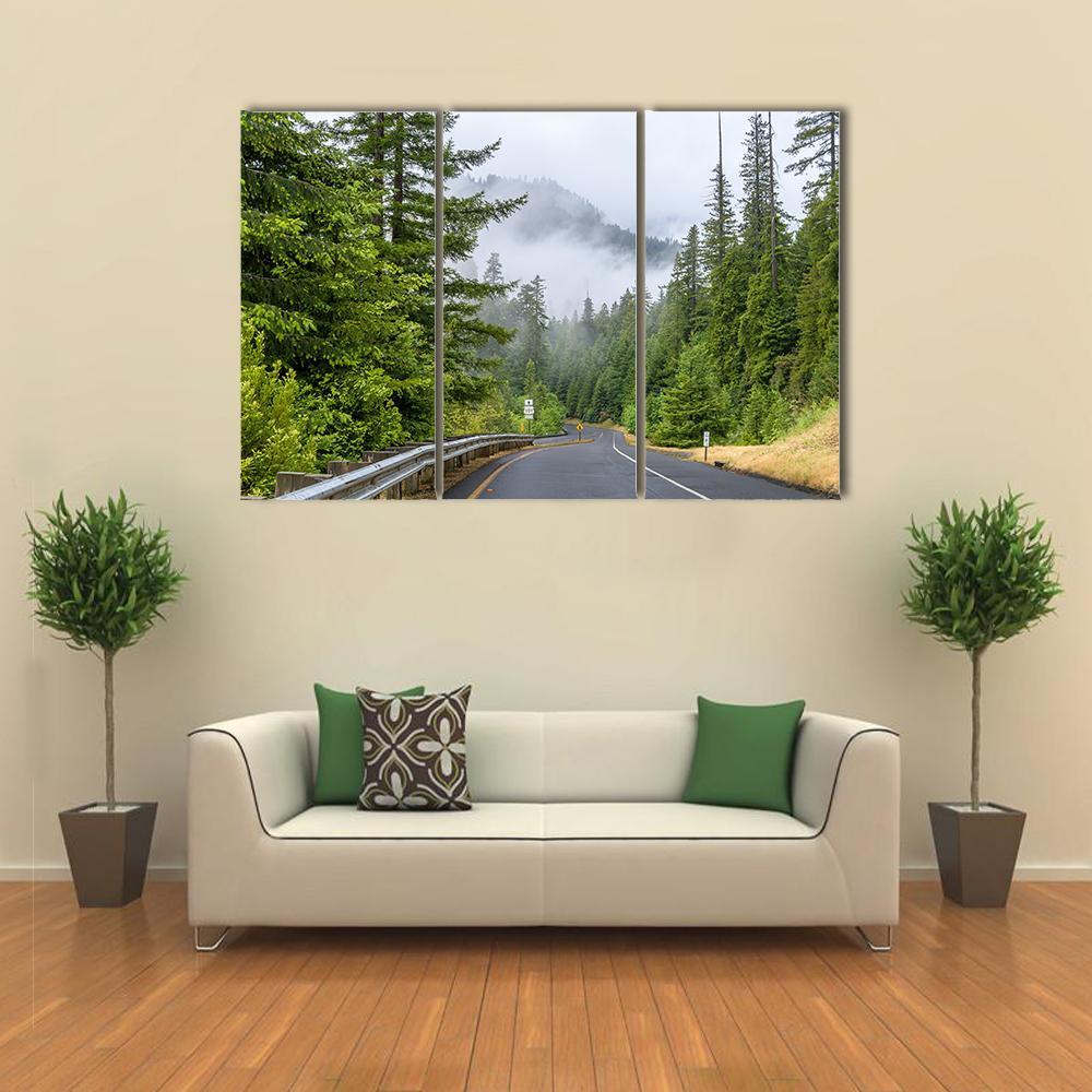 Highway In Redwood Forest Canvas Wall Art-3 Horizontal-Gallery Wrap-25&quot; x 16&quot;-Tiaracle