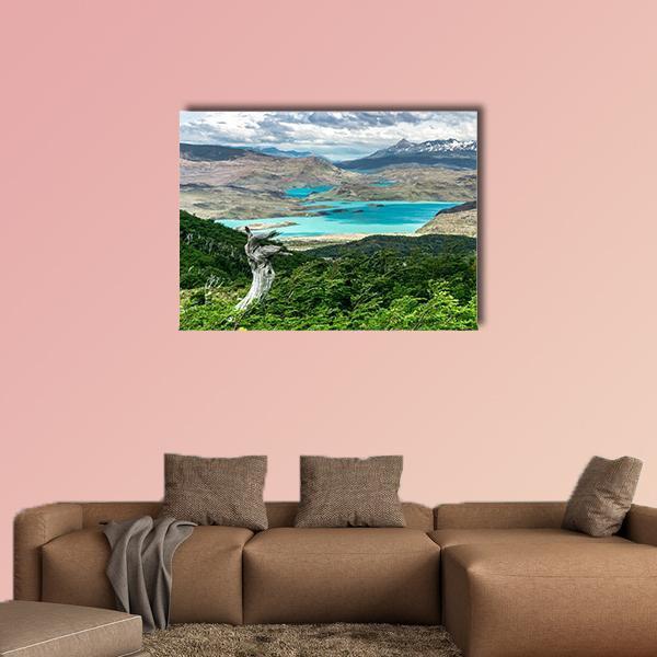 Gnarled Tree by Turquoise Mountain Lake Canvas Wall Art in brown, green and blue, single panel hung on a wall