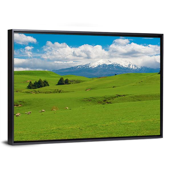Hill covered By Green Grass Canvas Wall Art-3 Horizontal-Gallery Wrap-25" x 16"-Tiaracle