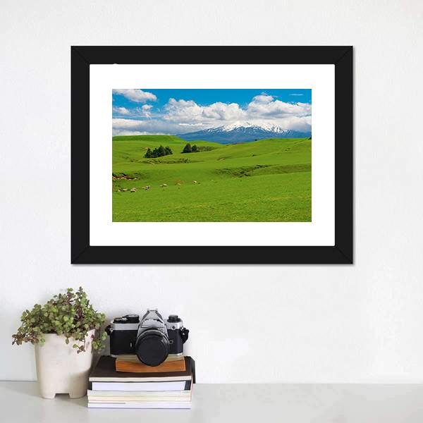 Hill covered By Green Grass Canvas Wall Art-1 Piece-Framed Print-20" x 16"-Tiaracle