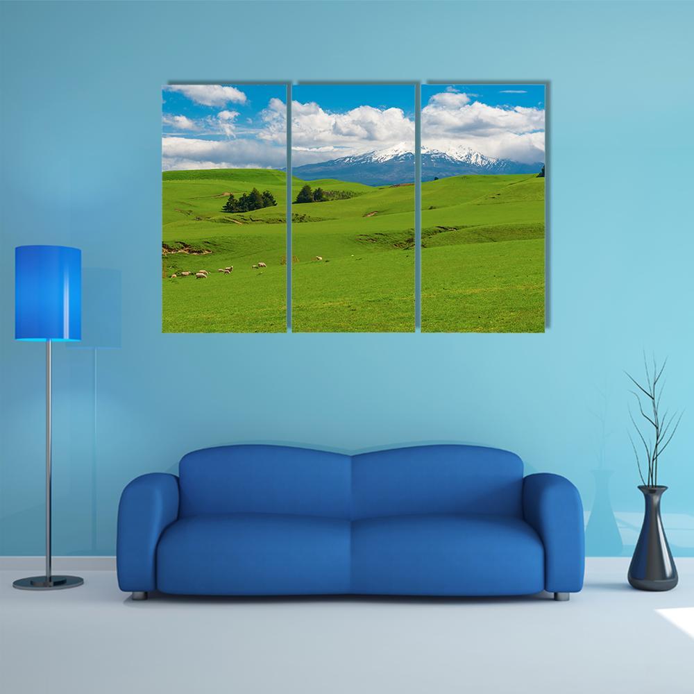 Hill covered By Green Grass Canvas Wall Art-3 Horizontal-Gallery Wrap-37" x 24"-Tiaracle
