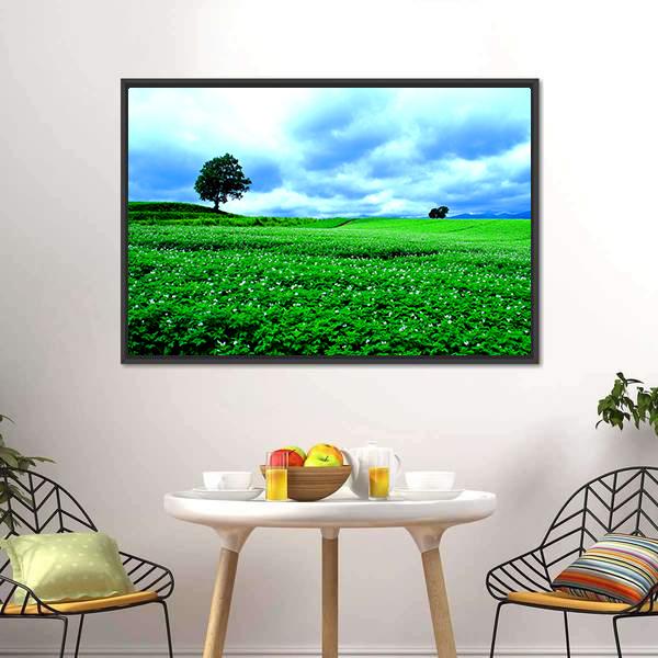 Hill Of Biei in Hokkaido Canvas Wall Art-3 Horizontal-Gallery Wrap-25" x 16"-Tiaracle