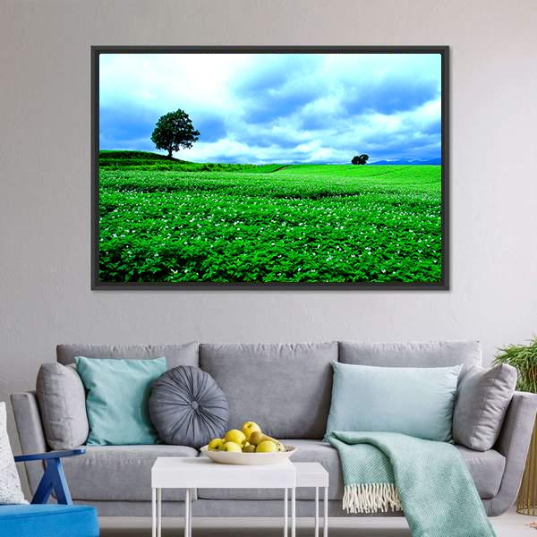 Hill Of Biei in Hokkaido Canvas Wall Art-3 Horizontal-Gallery Wrap-25" x 16"-Tiaracle
