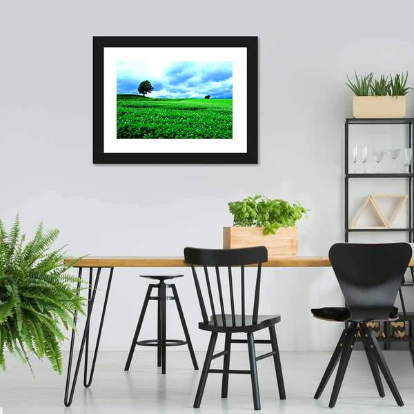 Hill Of Biei in Hokkaido Canvas Wall Art-3 Horizontal-Gallery Wrap-25&quot; x 16&quot;-Tiaracle