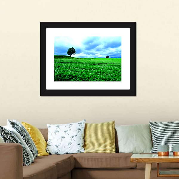 Hill Of Biei in Hokkaido Canvas Wall Art-3 Horizontal-Gallery Wrap-25&quot; x 16&quot;-Tiaracle
