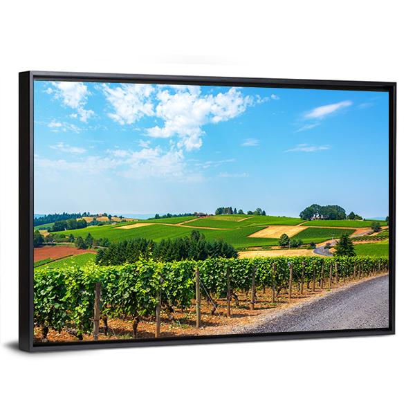 Hills Covered In Vineyards Canvas Wall Art-3 Horizontal-Gallery Wrap-25" x 16"-Tiaracle