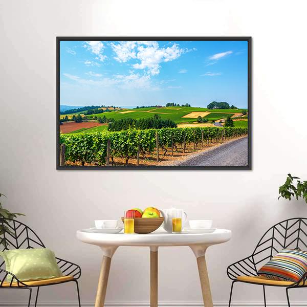 Hills Covered In Vineyards Canvas Wall Art-3 Horizontal-Gallery Wrap-25" x 16"-Tiaracle