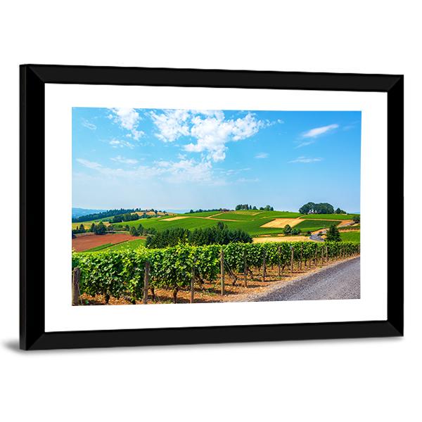 Hills Covered In Vineyards Canvas Wall Art-3 Horizontal-Gallery Wrap-25" x 16"-Tiaracle