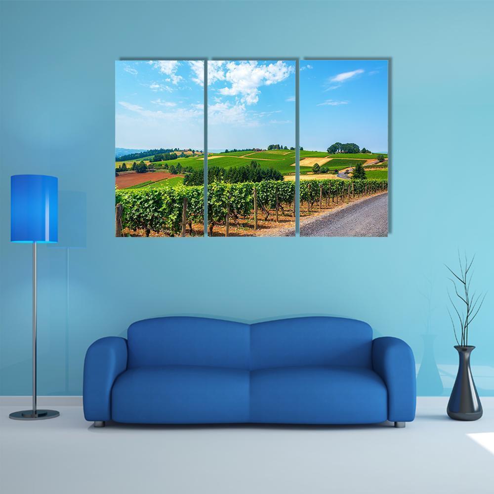 Hills Covered In Vineyards Canvas Wall Art-3 Horizontal-Gallery Wrap-37" x 24"-Tiaracle