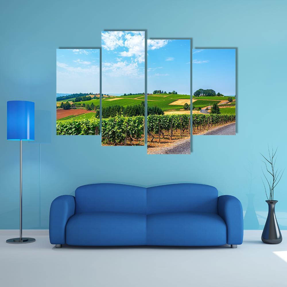 Hills Covered In Vineyards Canvas Wall Art-4 Pop-Gallery Wrap-50" x 32"-Tiaracle