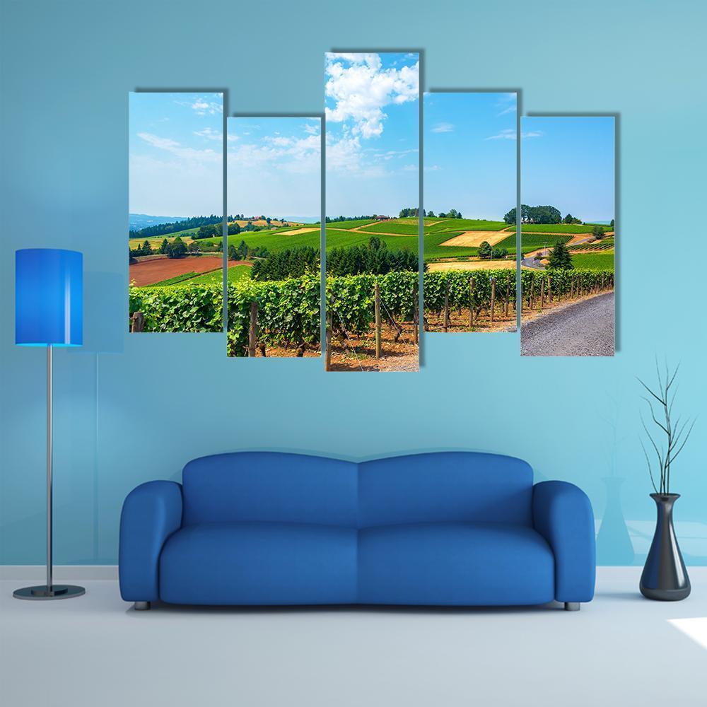 Hills Covered In Vineyards Canvas Wall Art-5 Pop-Gallery Wrap-47" x 32"-Tiaracle
