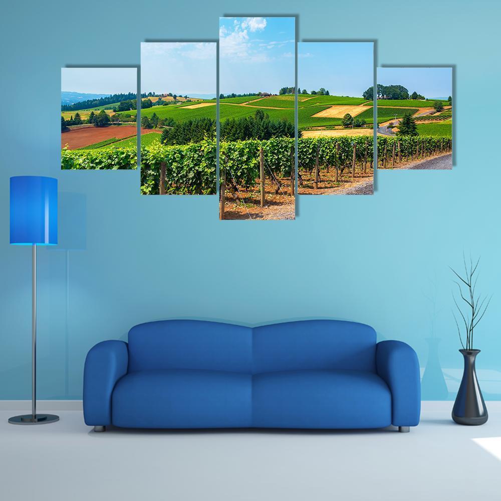 Hills Covered In Vineyards Canvas Wall Art-5 Star-Gallery Wrap-62" x 32"-Tiaracle