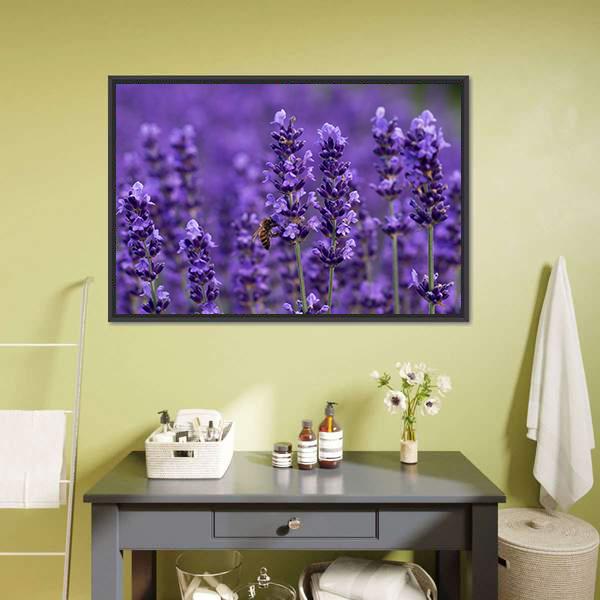 Honey Bee On Lavender Flowers Canvas Wall Art-1 Piece-Floating Frame-24" x 16"-Tiaracle
