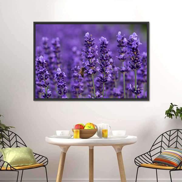 Honey Bee On Lavender Flowers Canvas Wall Art-3 Horizontal-Gallery Wrap-25" x 16"-Tiaracle