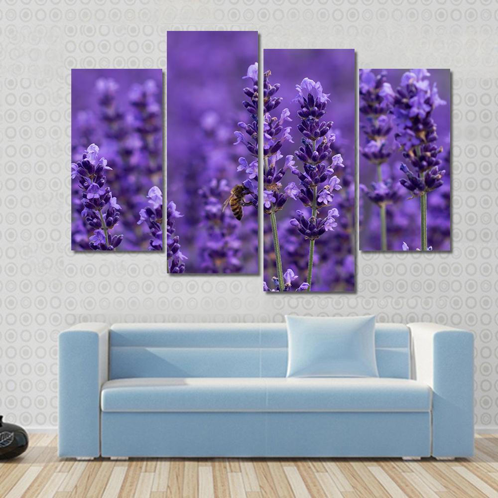 Honey Bee On Lavender Flowers Canvas Wall Art-4 Pop-Gallery Wrap-50" x 32"-Tiaracle