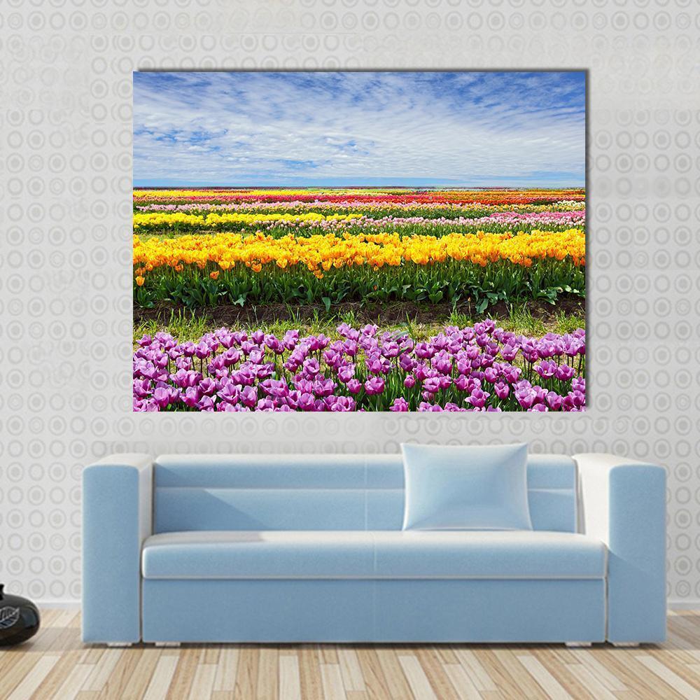 Colorful Field of Tulips Canvas Wall Art in yellow, blue and multicolor, single panel hung on a wall