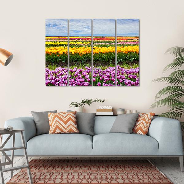 Colorful Tulips Canvas Wall Art-4 Horizontal-Gallery Wrap-34" x 24"-Tiaracle