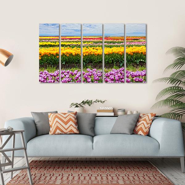 Colorful Tulips Canvas Wall Art-5 Horizontal-Gallery Wrap-22" x 12"-Tiaracle