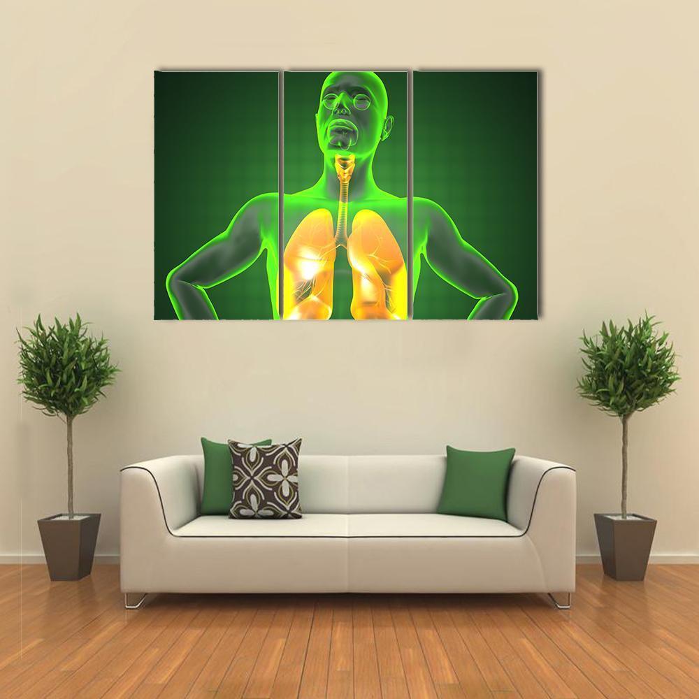 Human Chest Radiography Canvas Wall Art-3 Horizontal-Gallery Wrap-37" x 24"-Tiaracle