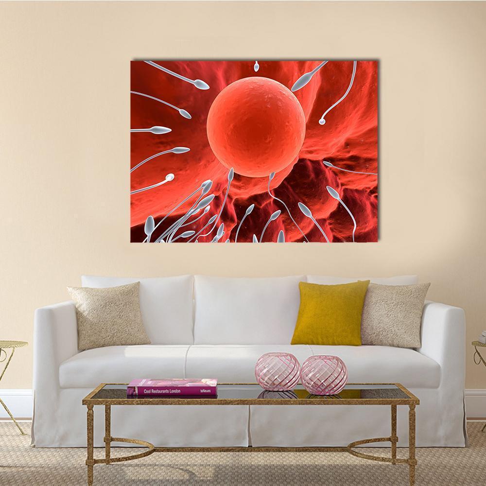 Human Egg and Sperm Medical Illustration Canvas Wall Art in white and red, single panel hung on a wall