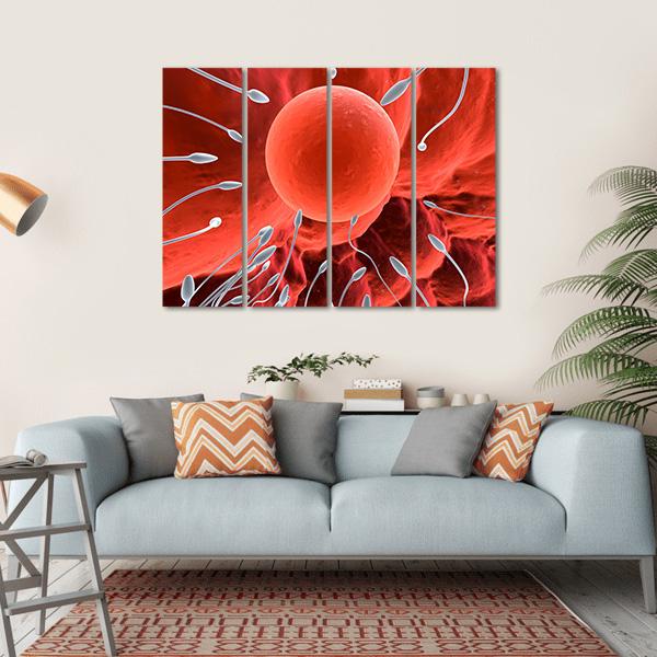Human Egg &amp; Sperm Canvas Wall Art-4 Horizontal-Gallery Wrap-34" x 24"-Tiaracle