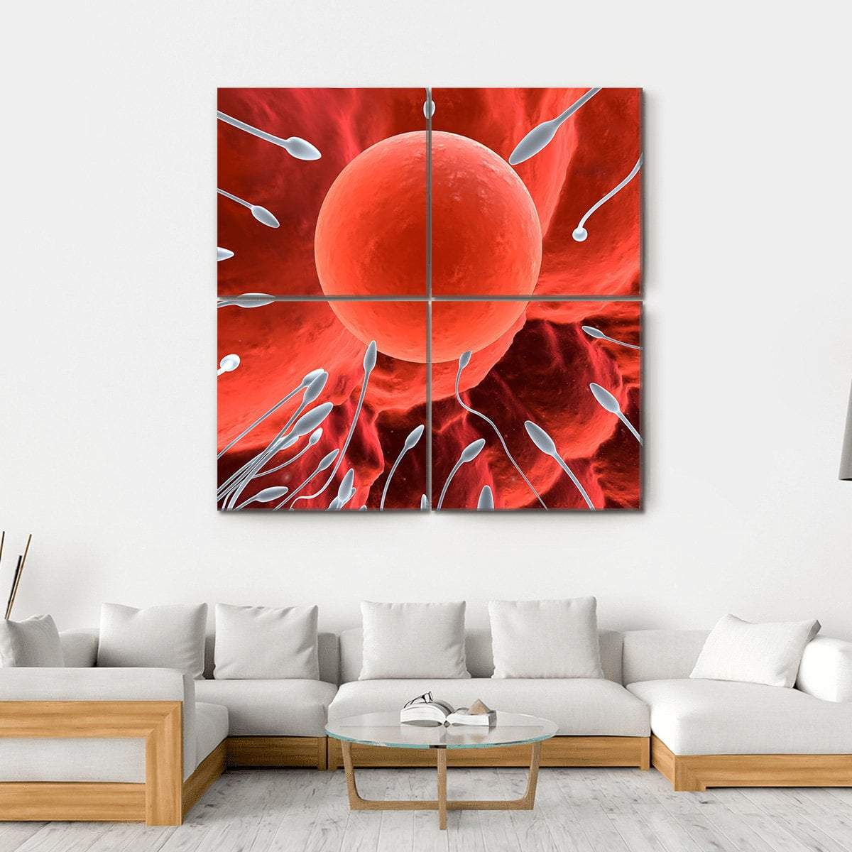 Human Egg &amp; Sperm Canvas Wall Art-4 Square-Gallery Wrap-17" x 17"-Tiaracle