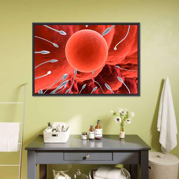 Human Egg &amp; Sperm Canvas Wall Art-1 Piece-Floating Frame-24" x 16"-Tiaracle