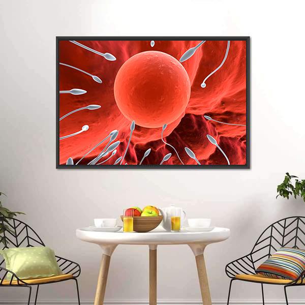 Human Egg & Sperm Canvas Wall Art-3 Horizontal-Gallery Wrap-25" x 16"-Tiaracle