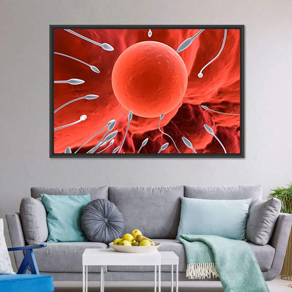 Human Egg &amp; Sperm Canvas Wall Art-3 Horizontal-Gallery Wrap-25" x 16"-Tiaracle