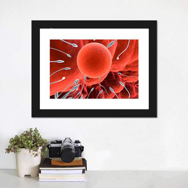 Human Egg &amp; Sperm Canvas Wall Art-1 Piece-Framed Print-20" x 16"-Tiaracle