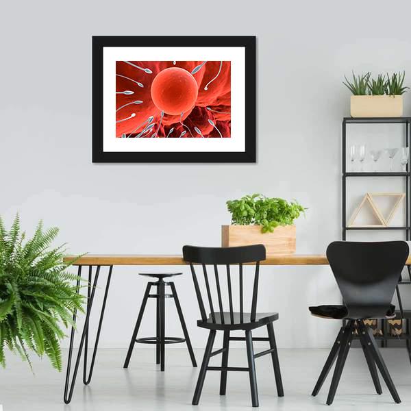Human Egg & Sperm Canvas Wall Art-5 Horizontal-Gallery Wrap-22" x 12"-Tiaracle