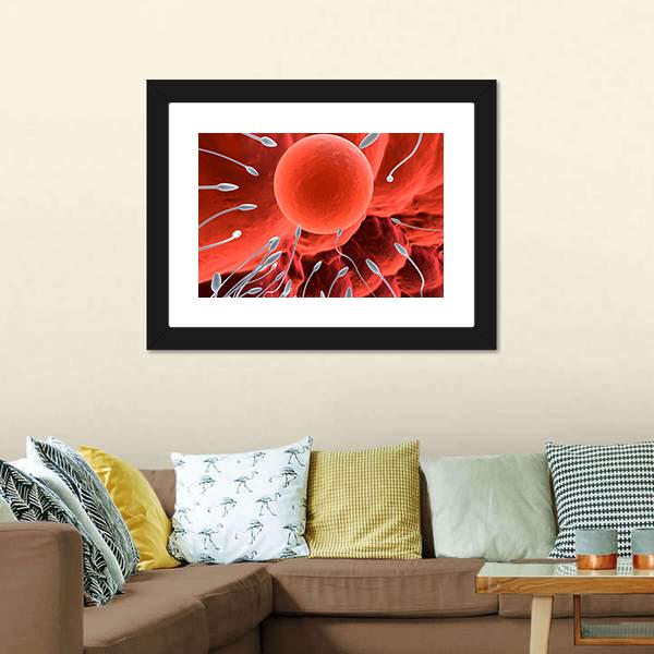 Human Egg & Sperm Canvas Wall Art-3 Horizontal-Gallery Wrap-25" x 16"-Tiaracle