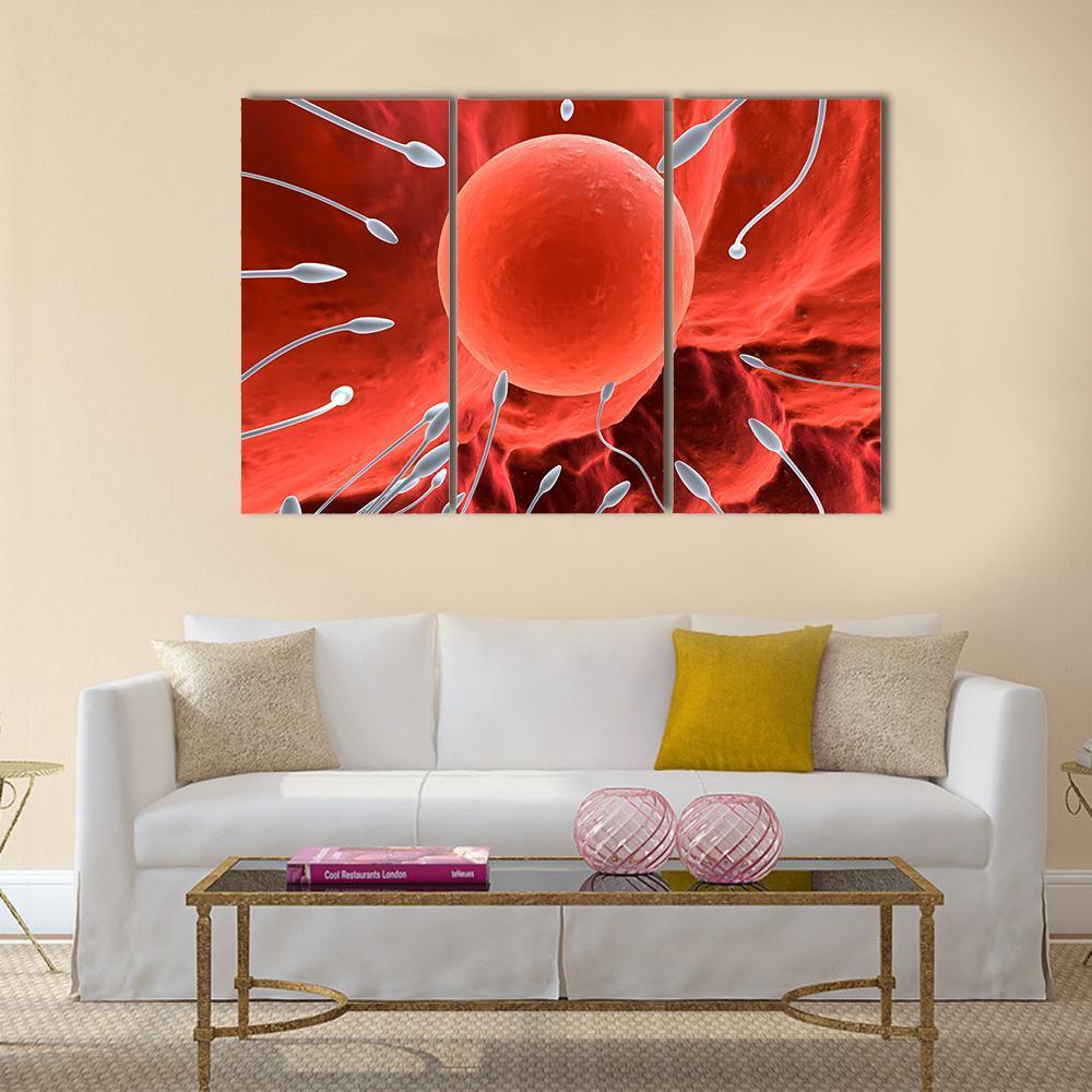 Human Egg &amp; Sperm Canvas Wall Art-3 Horizontal-Gallery Wrap-37" x 24"-Tiaracle