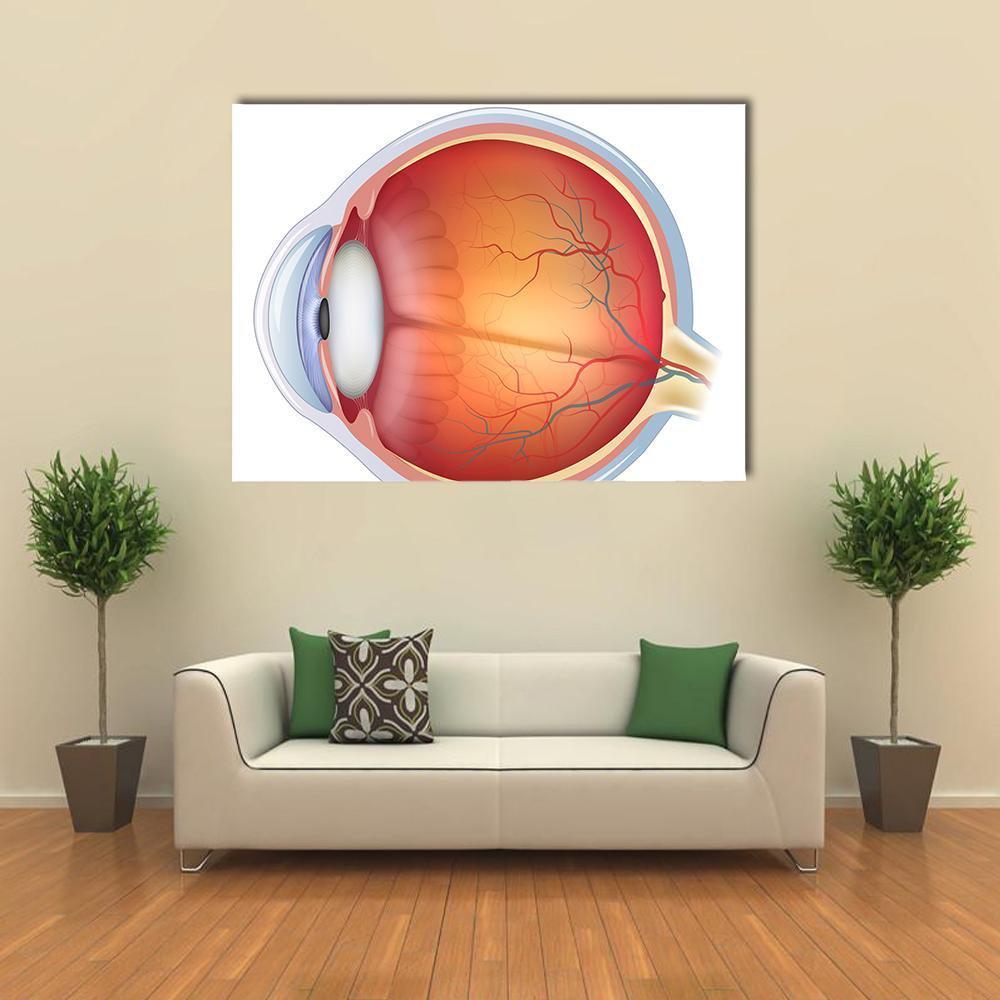 Human Eye Anatomy Canvas Wall Art-1 Piece-Gallery Wrap-48" x 32"-Tiaracle