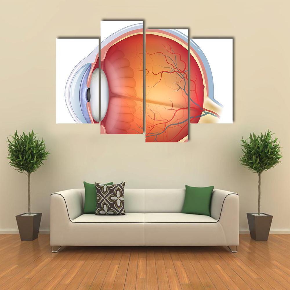 Human Eye Anatomy Canvas Wall Art-1 Piece-Gallery Wrap-48" x 32"-Tiaracle