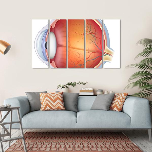 Human Eye Anatomy Canvas Wall Art-5 Horizontal-Gallery Wrap-22&quot; x 12&quot;-Tiaracle