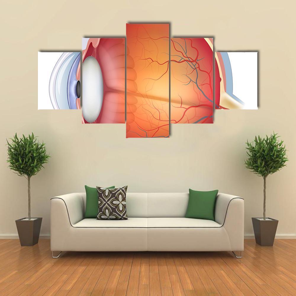 Human Eye Anatomy Canvas Wall Art-5 Star-Gallery Wrap-62" x 32"-Tiaracle