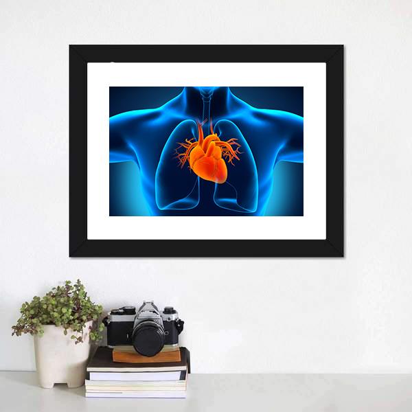 Human Heart Anatomy Canvas Wall Art-1 Piece-Framed Print-20" x 16"-Tiaracle