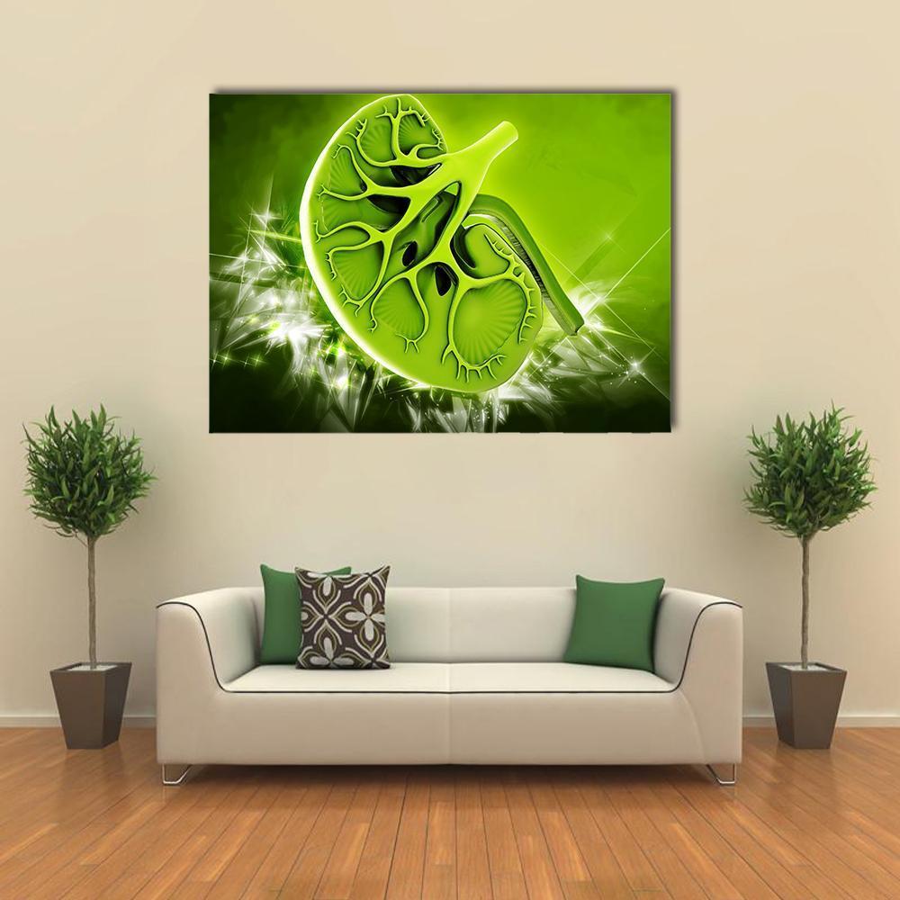 Human Kidney Cross-section Illustration Canvas Wall Art in black and green, single panel hung on a wall