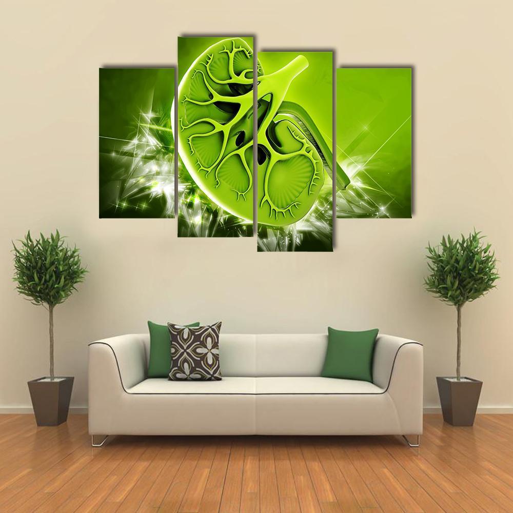 Human Kidney Illustration Canvas Wall Art-4 Pop-Gallery Wrap-50" x 32"-Tiaracle