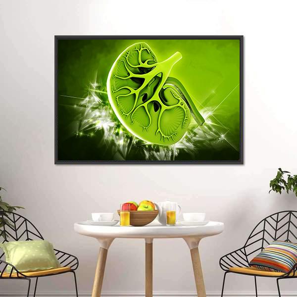 Human Kidney Cross-section Illustration Canvas Wall Art in black and green, framed canvas, product view on a white background