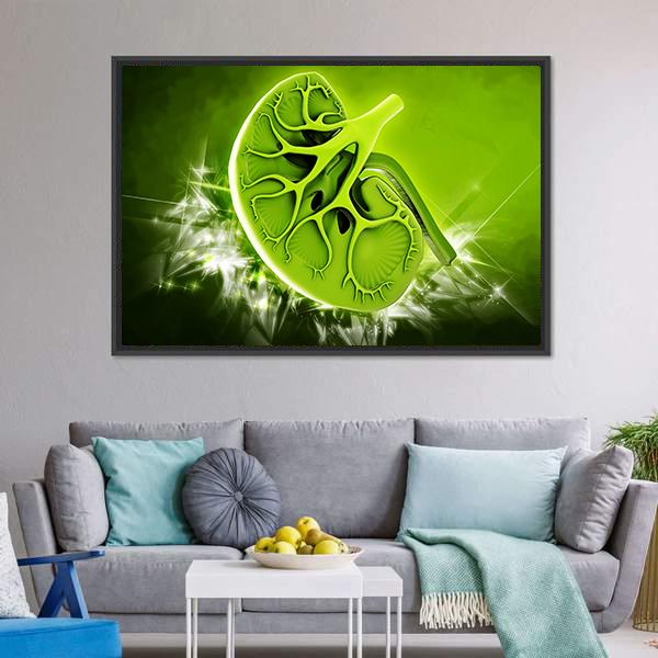 Human Kidney Illustration Canvas Wall Art-3 Horizontal-Gallery Wrap-25" x 16"-Tiaracle