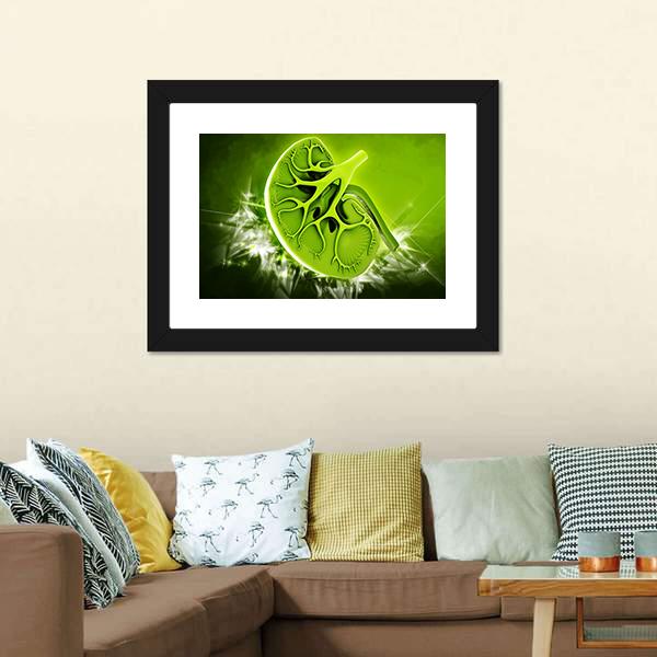 Human Kidney Illustration Canvas Wall Art-1 Piece-Framed Print-20" x 16"-Tiaracle