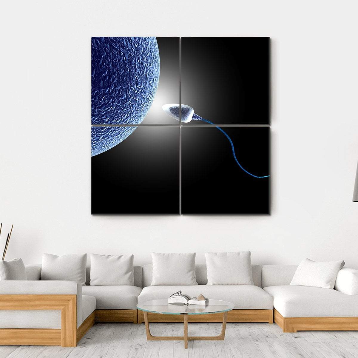 Human Sperm &amp; Egg Life Canvas Wall Art-4 Square-Gallery Wrap-17" x 17"-Tiaracle