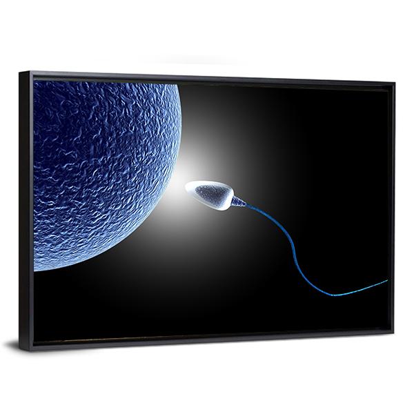 Human Sperm &amp; Egg Life Canvas Wall Art-3 Horizontal-Gallery Wrap-25" x 16"-Tiaracle