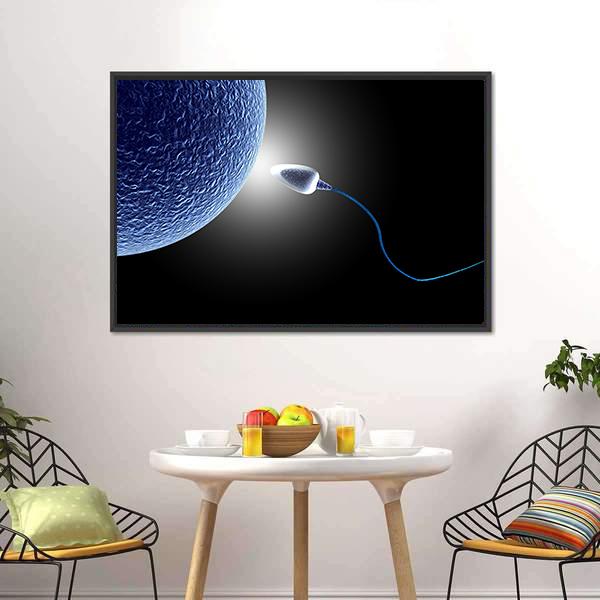 Human Sperm &amp; Egg Life Canvas Wall Art-3 Horizontal-Gallery Wrap-25" x 16"-Tiaracle