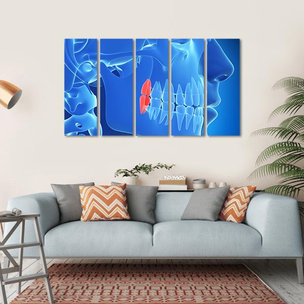 Human Teeth Illustration Canvas Wall Art-5 Horizontal-Gallery Wrap-22" x 12"-Tiaracle