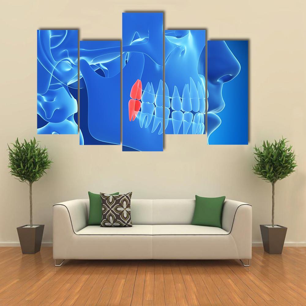 Human Teeth Illustration Canvas Wall Art-5 Pop-Gallery Wrap-47" x 32"-Tiaracle