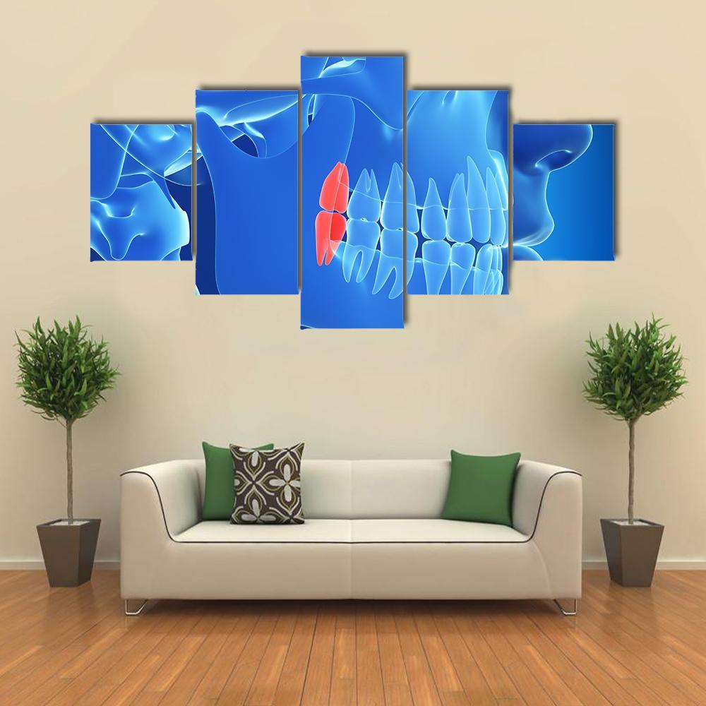 Human Teeth Illustration Canvas Wall Art-5 Star-Gallery Wrap-62" x 32"-Tiaracle