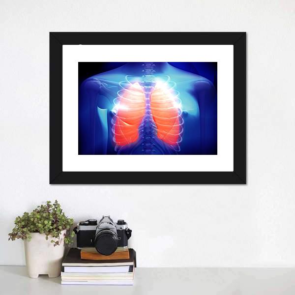 Illustration Of Human Lungs Canvas Wall Art-1 Piece-Framed Print-20" x 16"-Tiaracle
